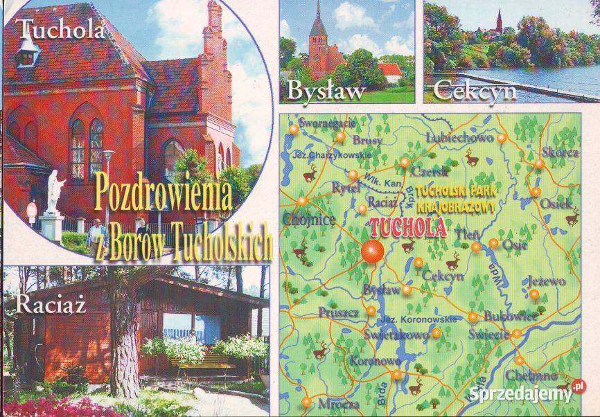 Kart Pozdr z Borów Tucholskich 1999 Gliwice sprzedam