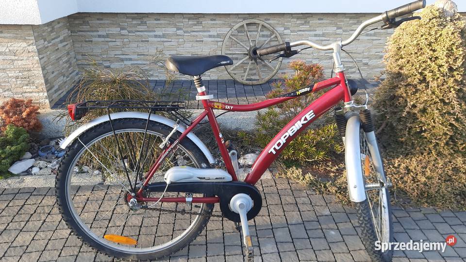 Rower górski AUTOMAT NEXUS koła 26