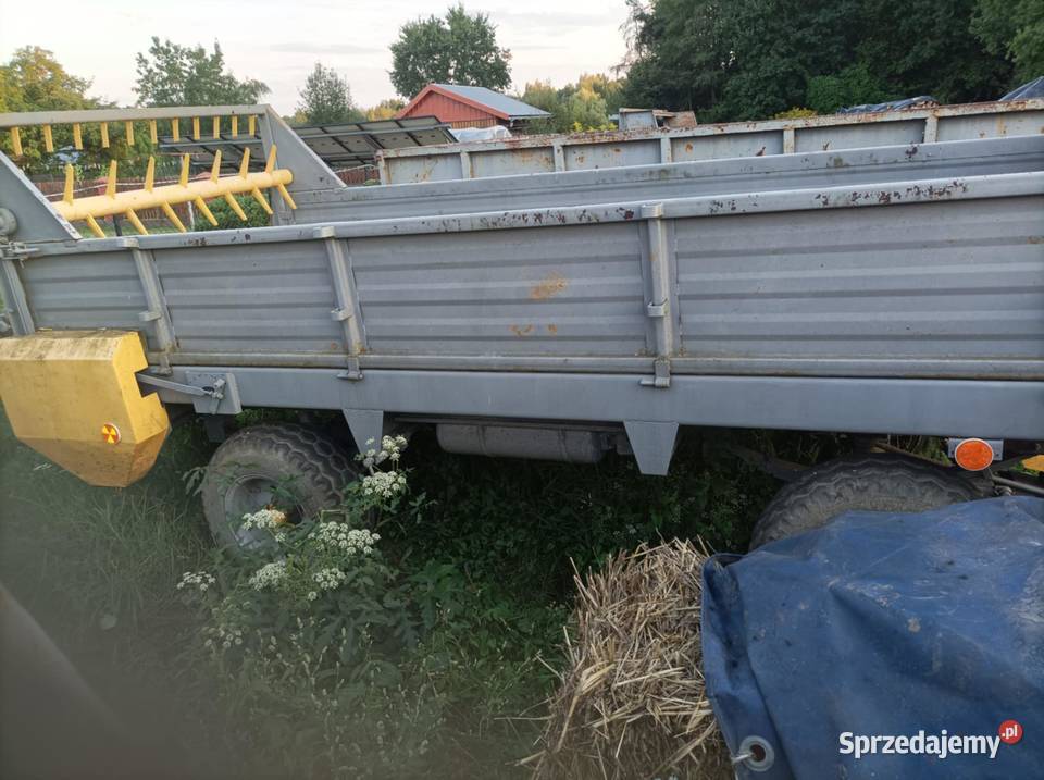 Rozrzutnik Pozostałe Radomyśl Wielki