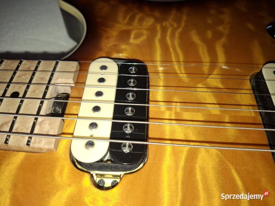 EVH WOLFGANG SPECIAL TBS Września