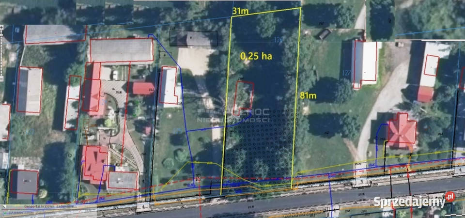 Działka 025 ha z mediamicisza zieleń potencjał 31m Horyszów-Stara Kolonia