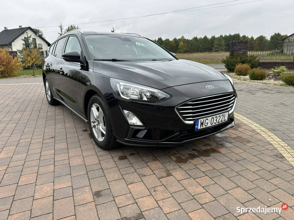 Ford Focus nowy Mk4 2018 Lipówki