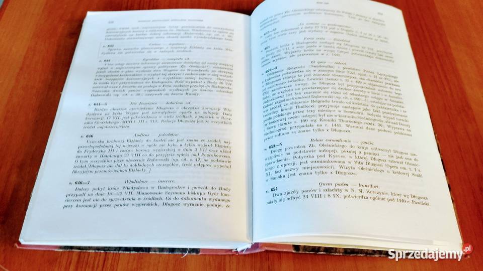 Rozbiór krytyczny Annalium Poloniae Jana sprzedam