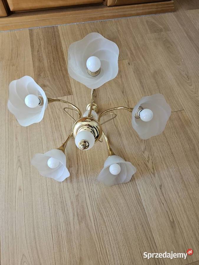 Sprzedam żyrandol Koszalin