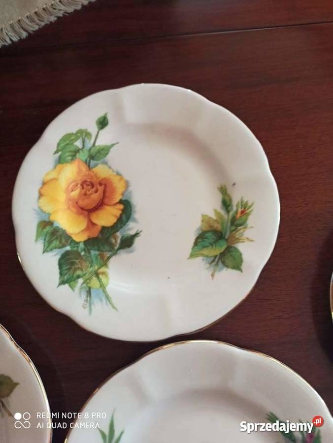 Talerzyk z różami Wheatcroft Roses Roslyn Gdańsk sprzedam