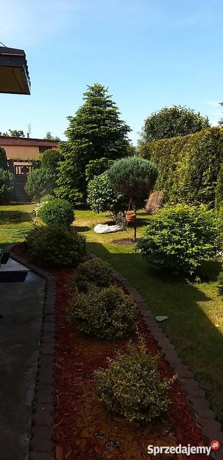 Ładna działka rekreacyjna Grunty i działki kujawsko-pomorskie Włocławek sprzedam