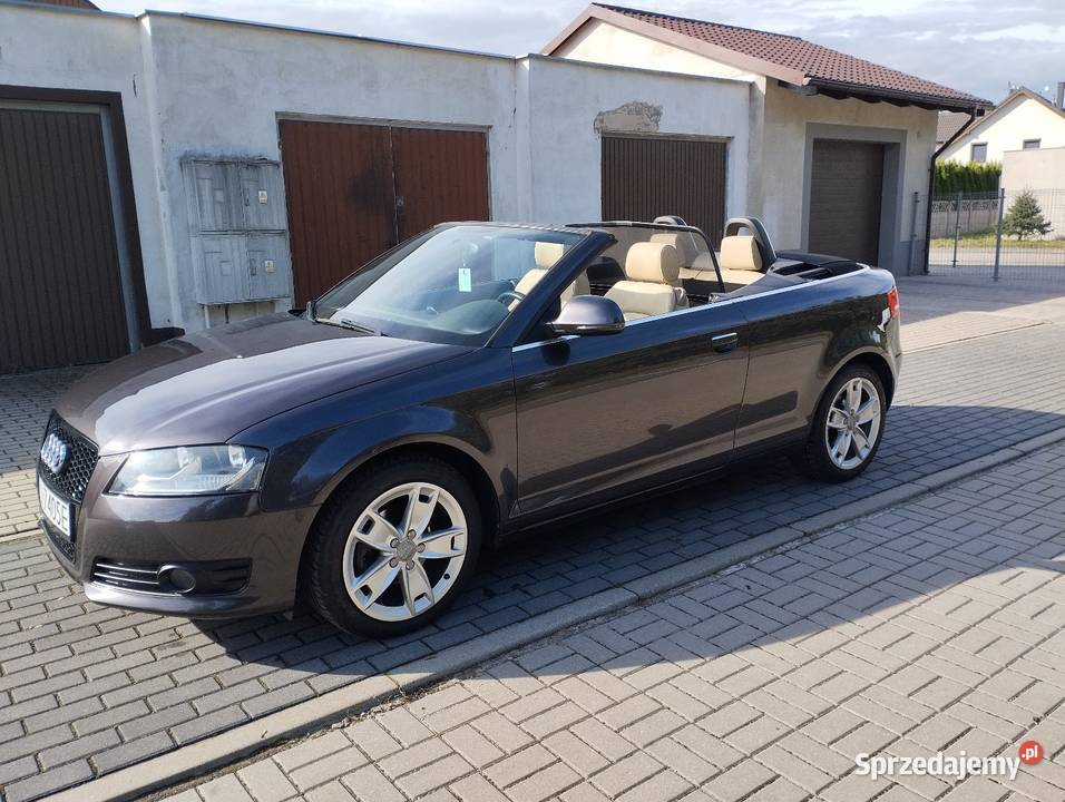 Audi A3 Cabrio 19 TDI 105 Cabriolet dolnośląskie