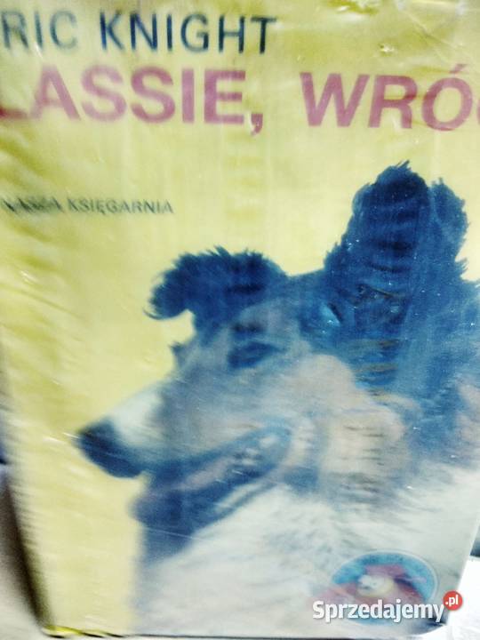 Lassie wróć lektury szkolne outlet książki Warszawa