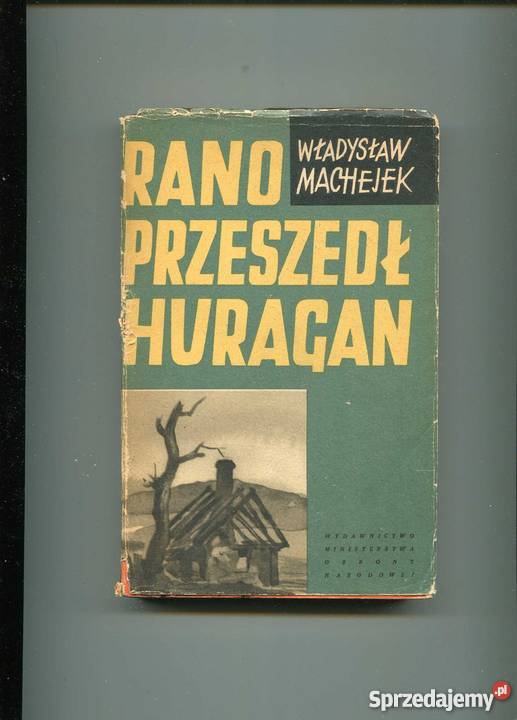 Rano przeszedł huragan Szczecin