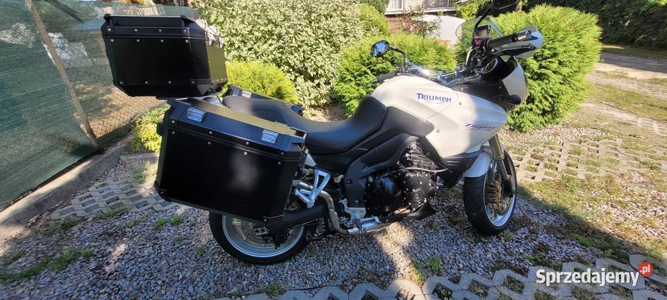 Triumph Tiger biały Triumph Lublin