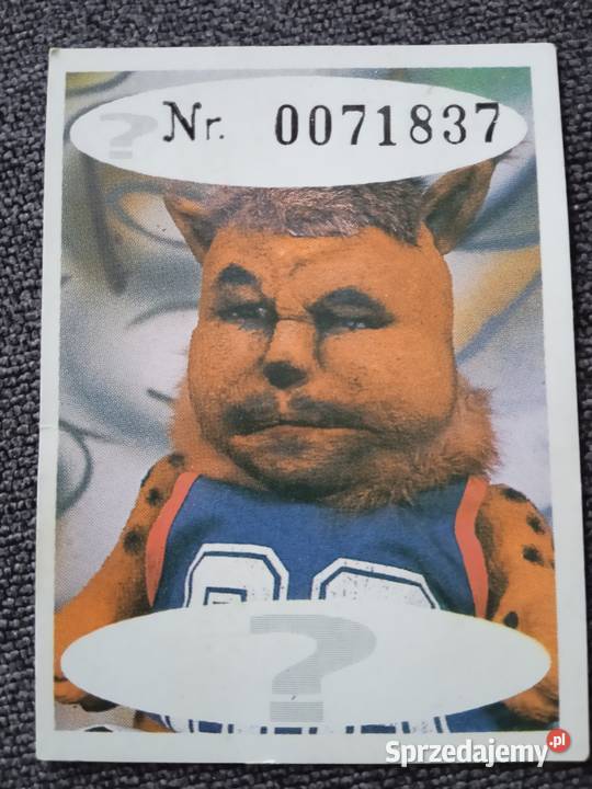 Kartonowa wkładka do gum Andy Candy wielkopolskie