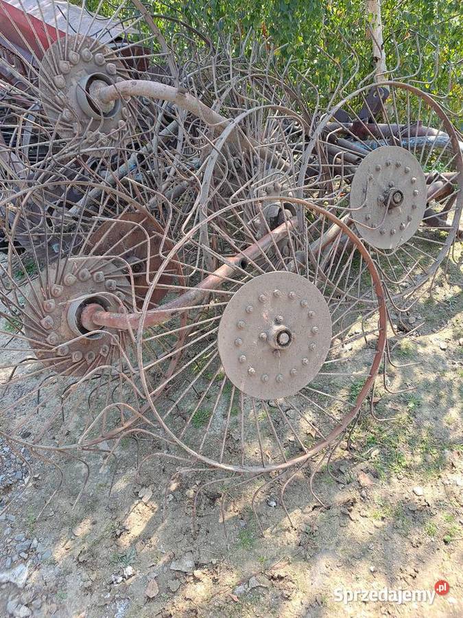 Słoneczko przewracarka Nowa Słupia