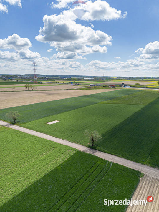 Wyjątkowa działka przemysłowa w Gołuskach Sprzedaż wielkopolskie