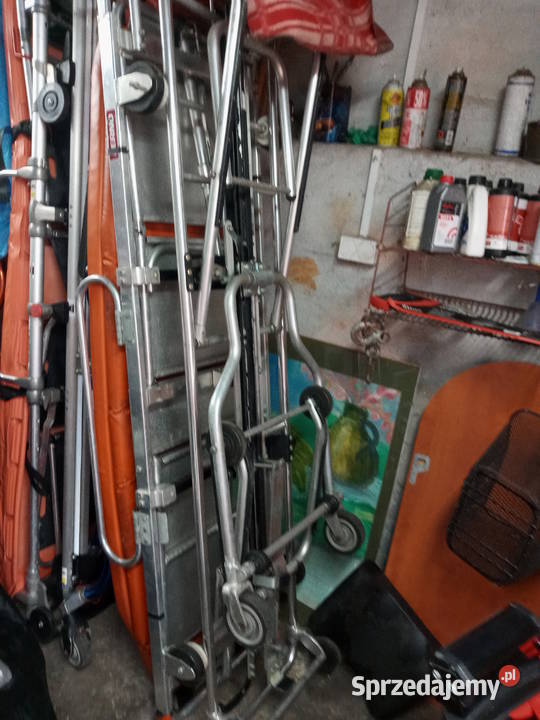 nosze ferno Drągowina