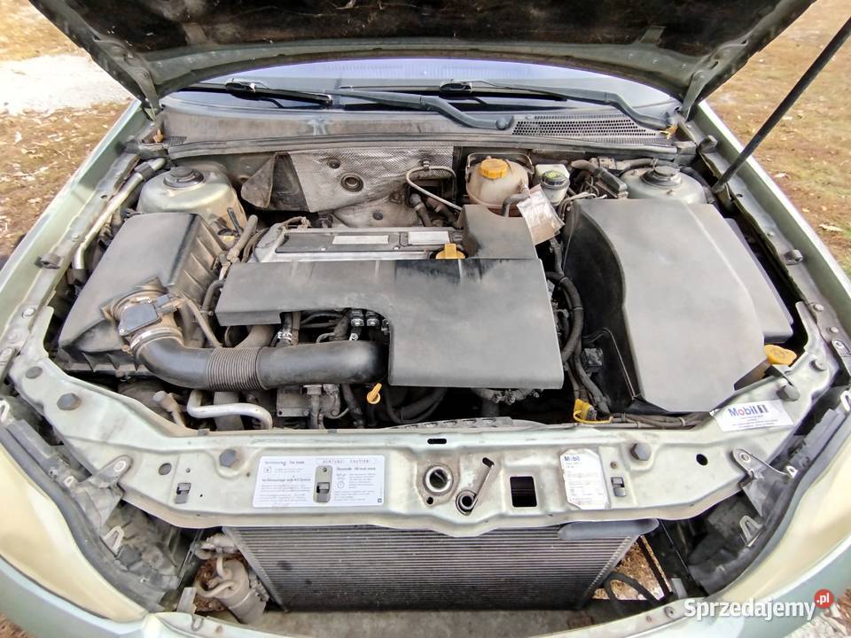Opel Vectra C 22 2002 150 benzynaLPG Bowyczyny