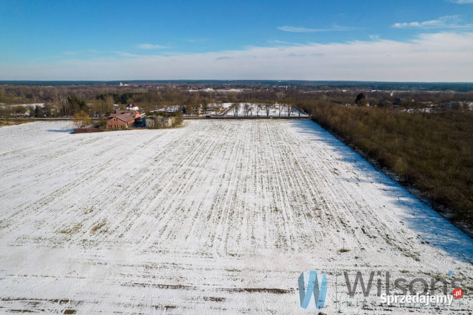 Grunt 30907m2 Jeżewo rolna mazowieckie sprzedam