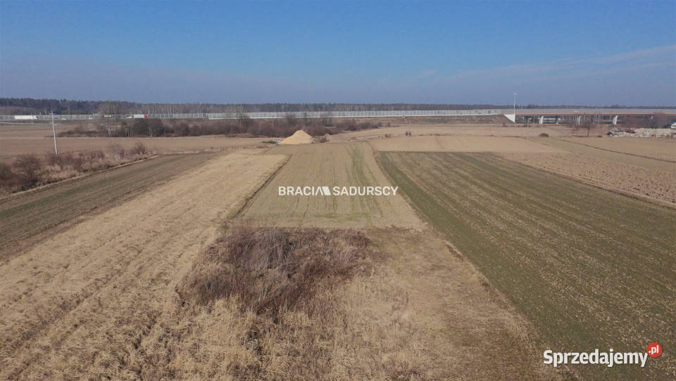 sprzedaży działki 7700m2 Stanisławice 7700m2 Sprzedaż Nieruchomości