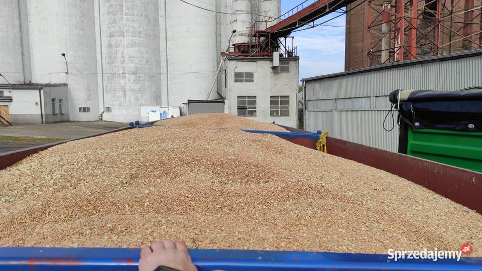 Przyczepa pts 12 Kirowiec ruska Stargard