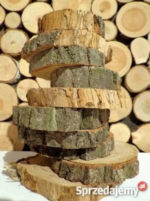 plastry drewniane Dąb pęknięty z ubytkami 614 Rybnik