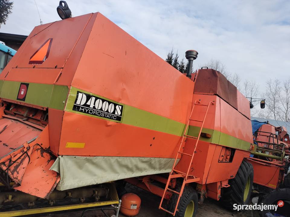 Dronninborg D4000 heder 375 sprawny Bychawa