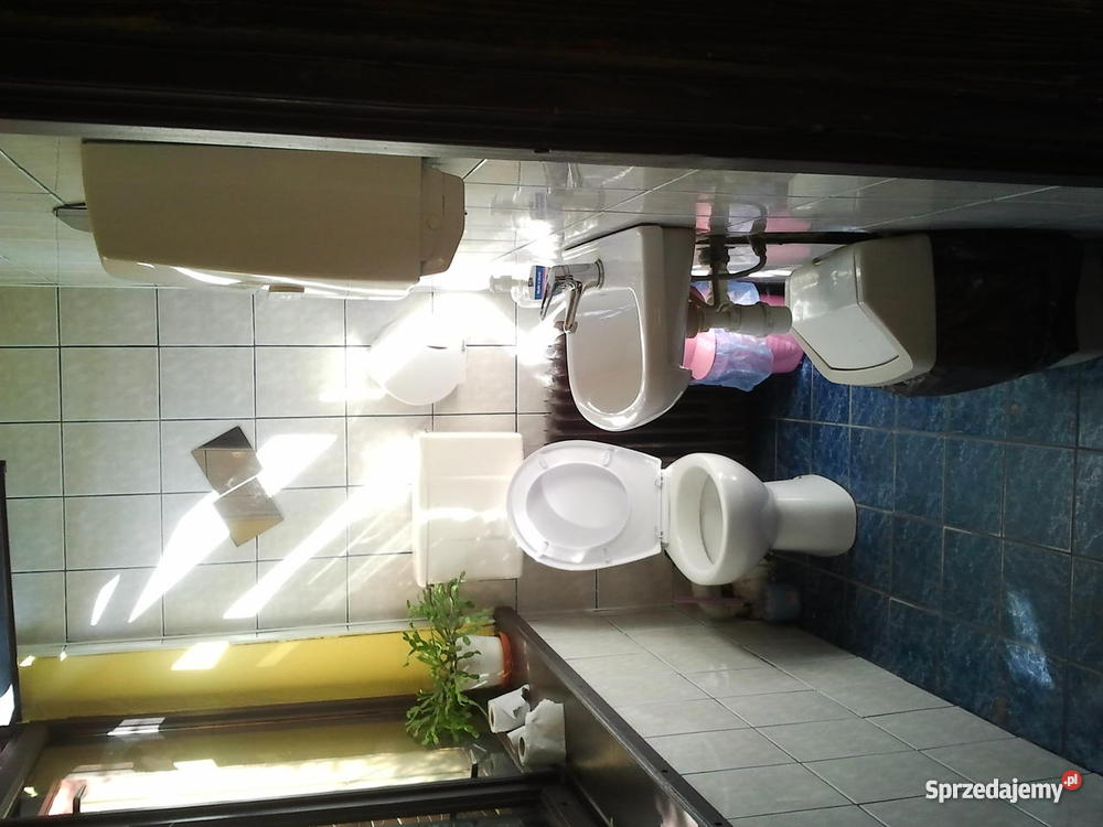 Kawiarnia Bar Pub Capri Będzin 20zł/m2 Będzin