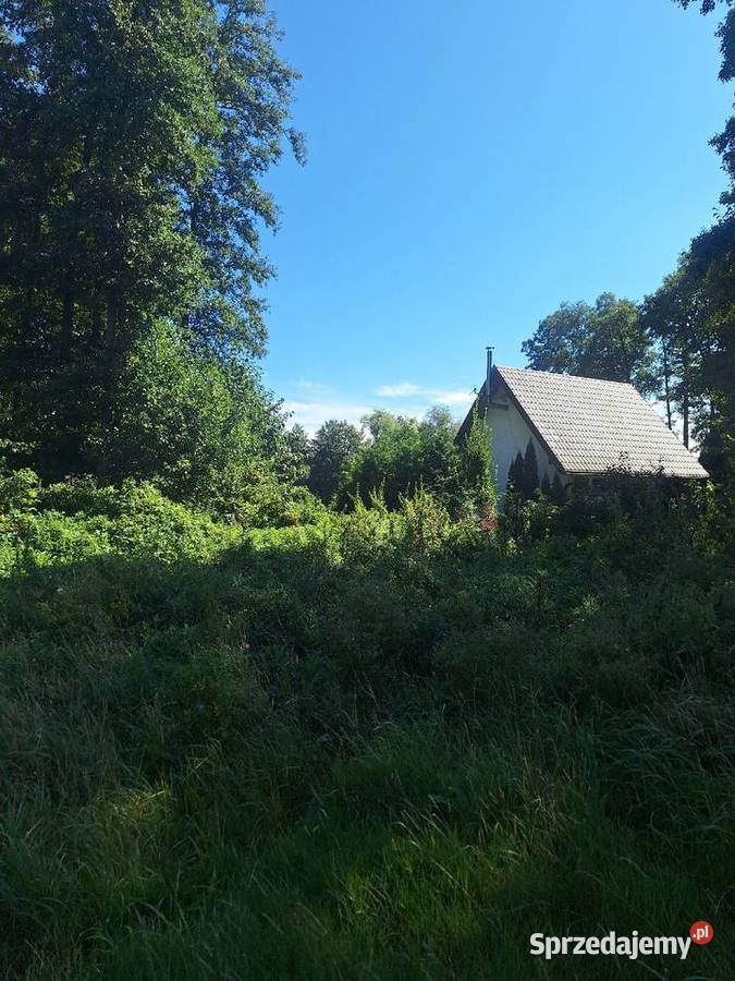 Działka jeziorem w drugim pasie501632390 budowlana kujawsko-pomorskie Piotrkowo