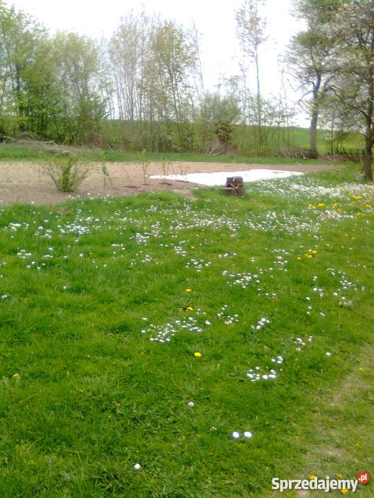 Dom z czerwonej cegły 1 piętro Ornowo