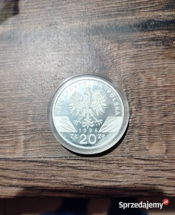 Srebrna Moneta kolekcjonerska 20 z 1996r Jeż Toruń