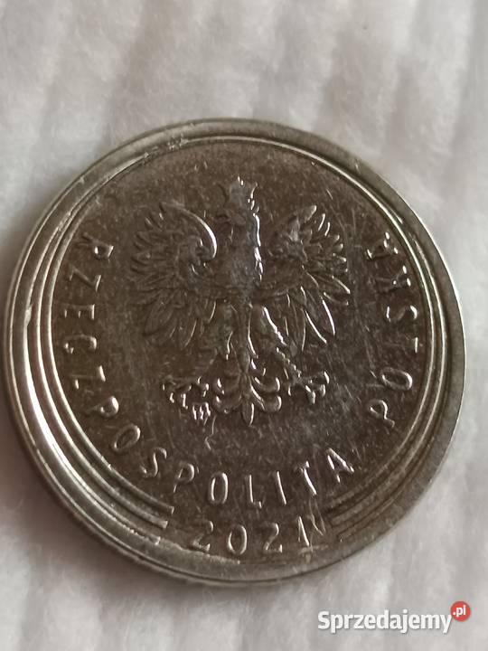 Sprzedam 10 gr 2021 r złe bity rdzeń lubelskie Chełm