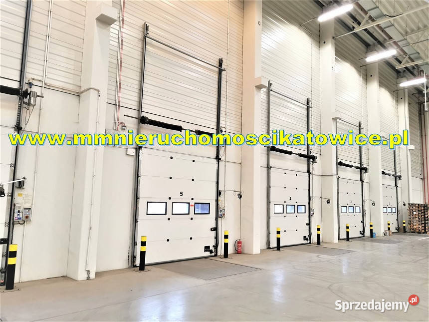 Powierzchnie magazynowe 200 10000 m2 o wynajęcia 10000m2 śląskie Sosnowiec