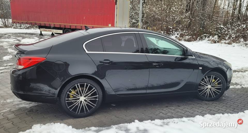 Opel Insignia OPC Line 384000km Dąbrowa Tarnowska