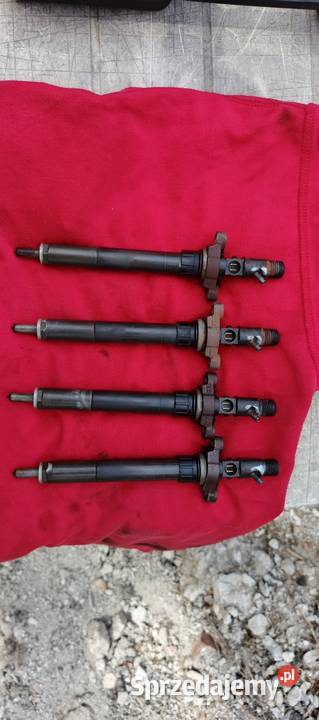 Wtryski Delphi 20 HDi peugeot citroen Wtryskiwacze Wartkowice