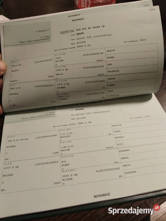 Sprzedam Możliwość zamiany Wólka Miedzyńska