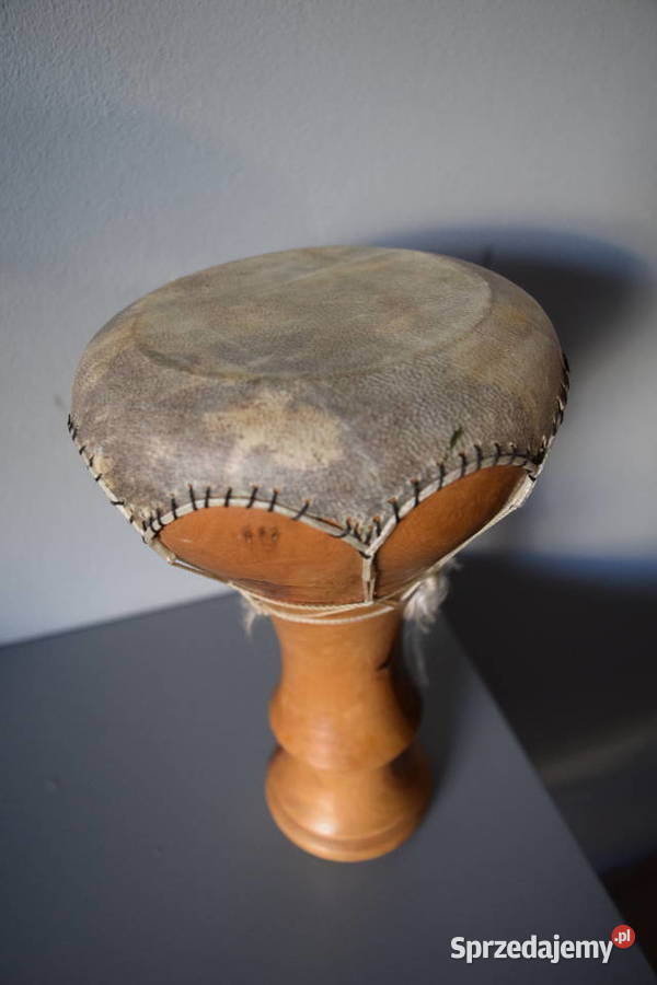 Bębenek afrykański Piaseczno