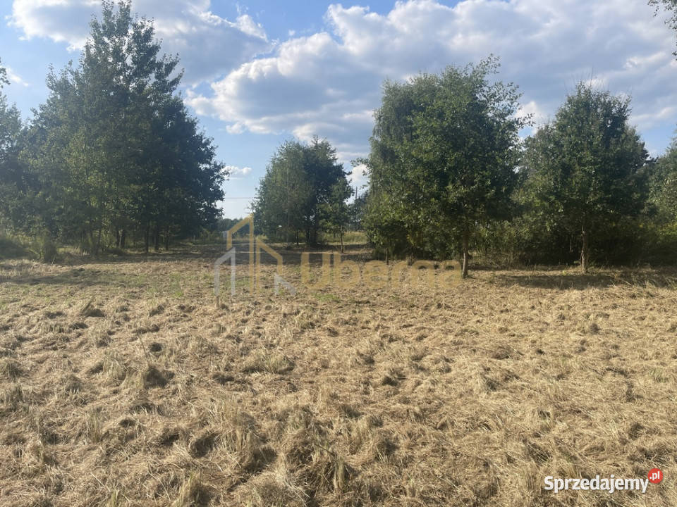 Działka na sprzedaż pod Goleniowem Żółwia Błoć asfalt