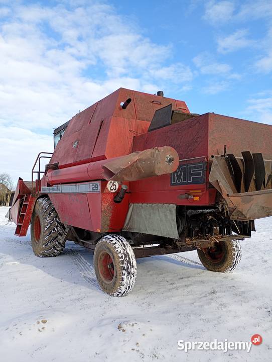 Massey ferguson 29 Rolnictwo podkarpackie Korczowa