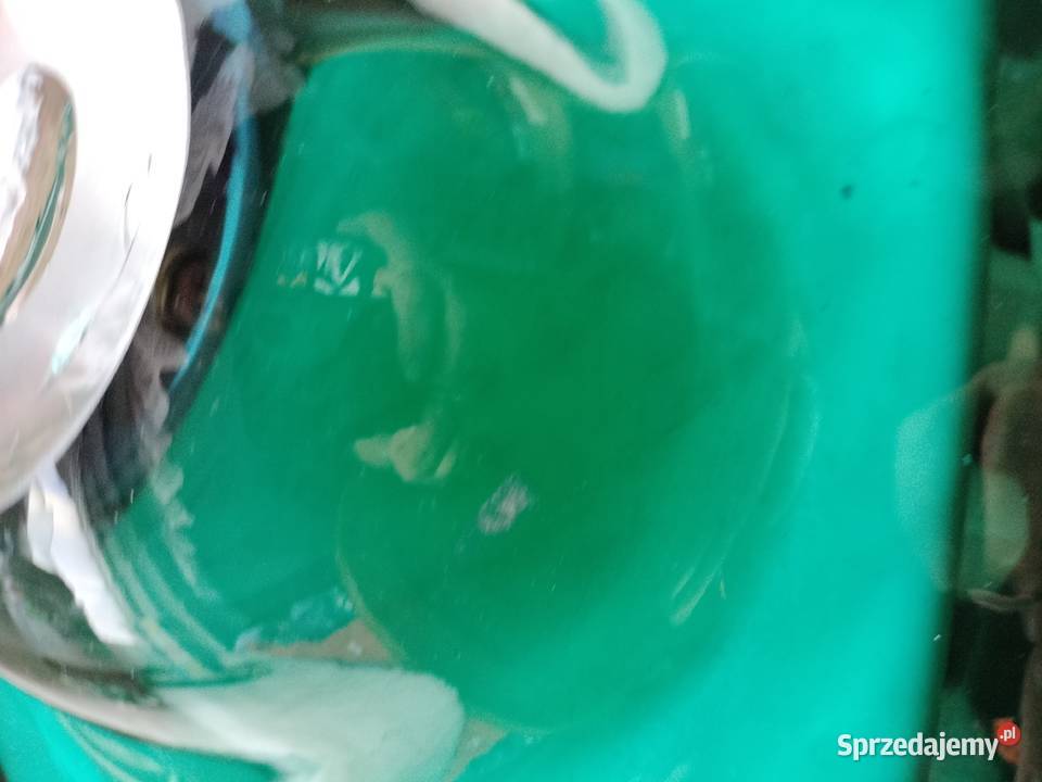 Patera talerz morski kolor szklo 28 Choszczno