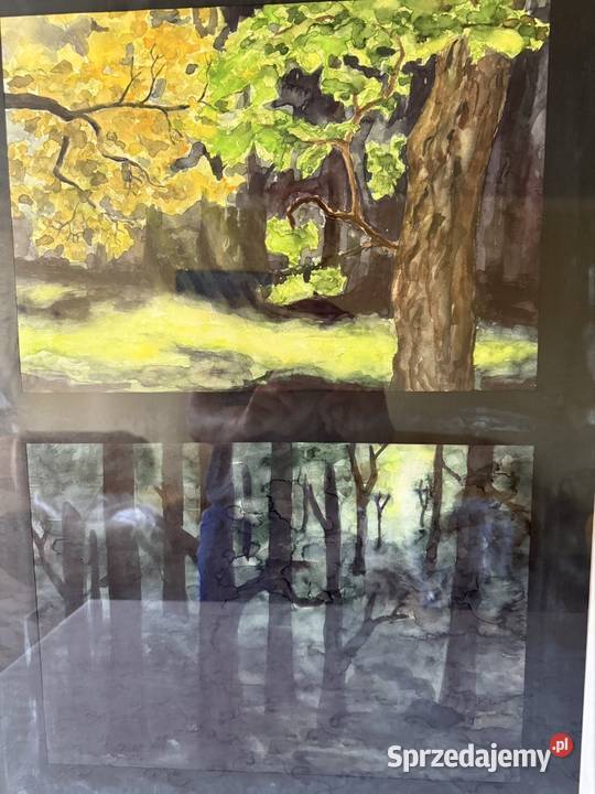 Duży Unikatowy Obraz Pejzaż Leśny Malowany Czerwionka-Leszczyny sprzedam