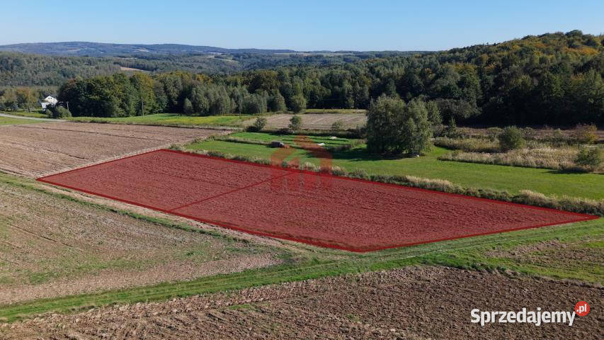 Ogłoszenie działka 950m2 Wielopole Skrzyńskie podkarpackie sprzedam