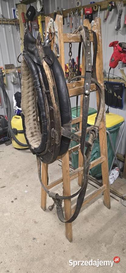 Chomonto skórzane łódzkie Pajęczno