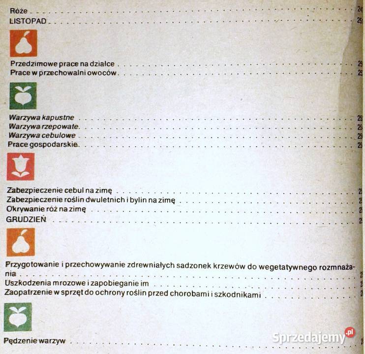 na działce D Haas Z Kawecki J Marcinkowski Chełm