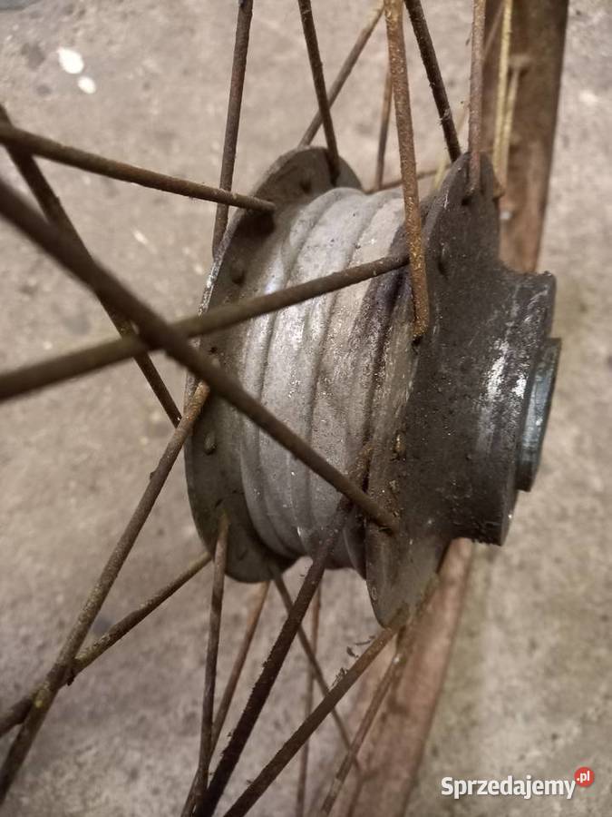 Kolo tyl zak rys Sokołów Podlaski