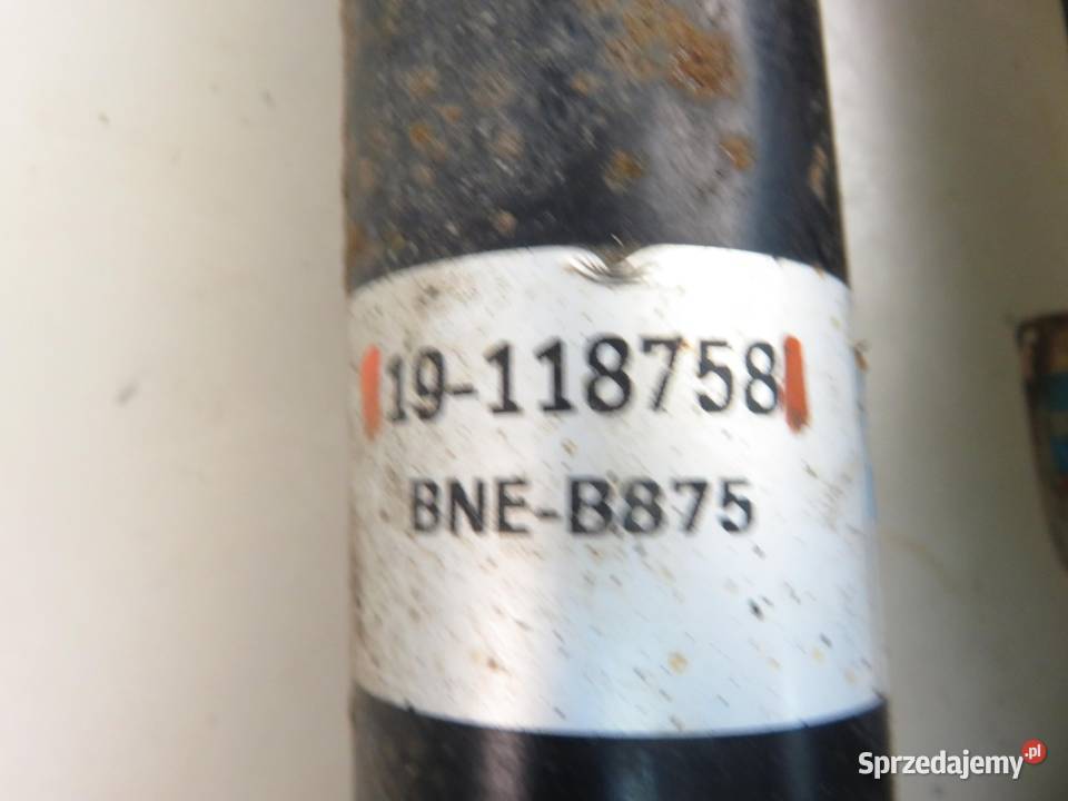 AMORTYZATOR TYŁ OPEL VECTRA C 32 V6 Z 32 SE