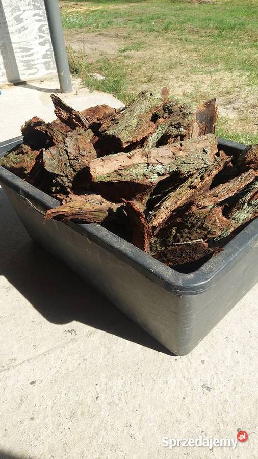 Kora sosnowa gruba mazowieckie Pionki