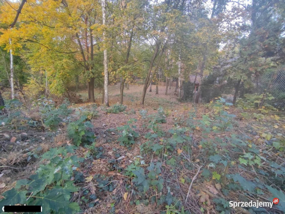 Łomianki Dąbrowa Leśna działka 1500m2 Grunty i działki