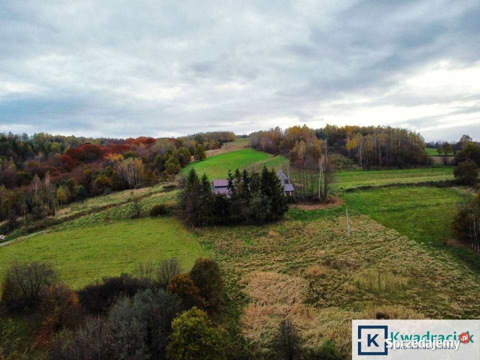 Działka Nozdrzec 7513m2 Sprzedaż sprzedam