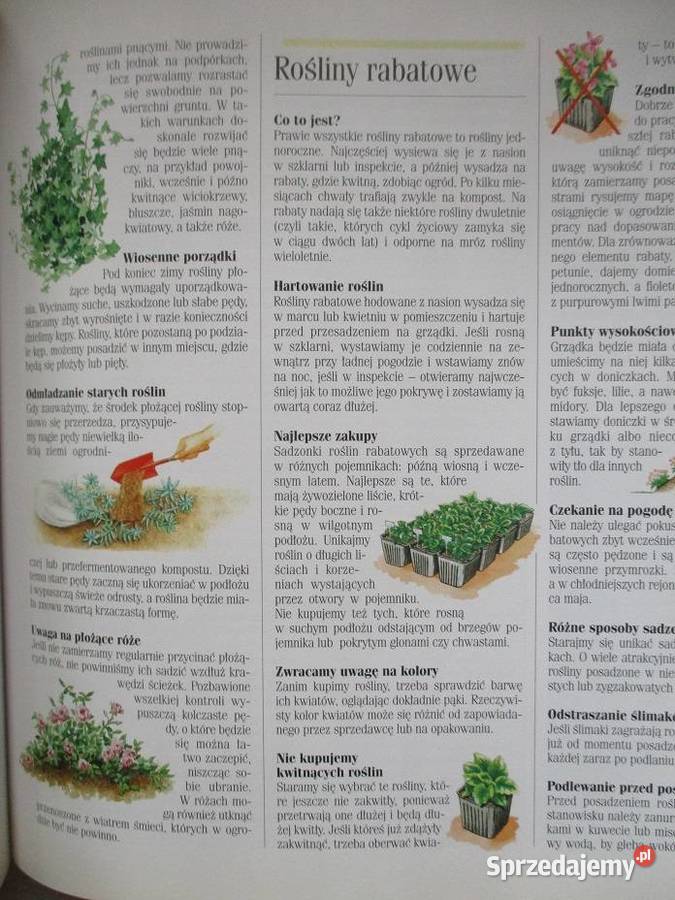 1001 sposobów na piękny ogród ogróddziałkauprawy Łódź