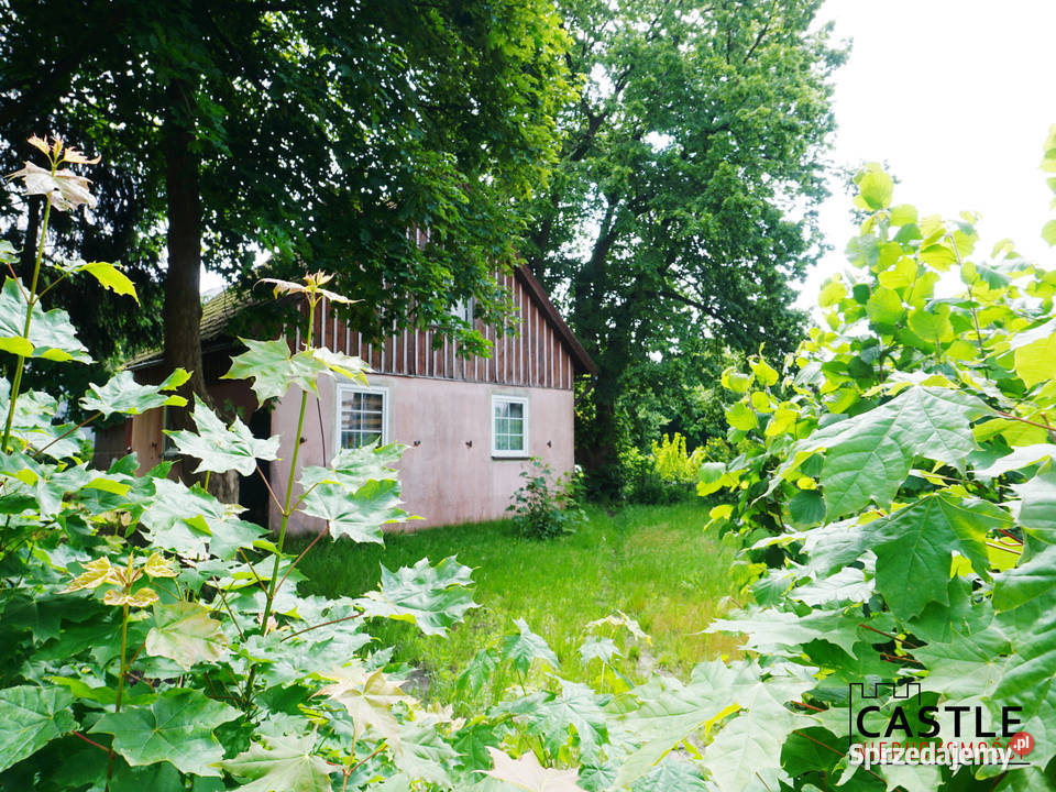 Stegna I duża działka I można podzielić I pod 2398m2