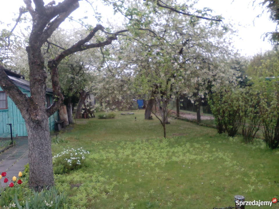 Ogródek działkowy 500 m kw Nieruchomości Gliwice sprzedam