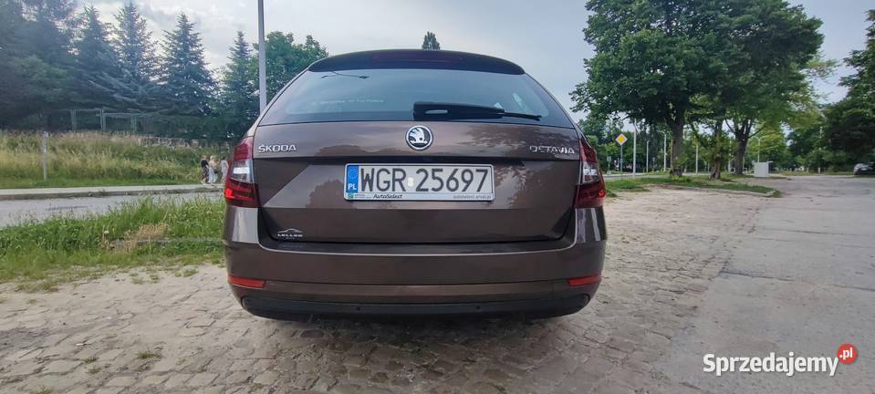 Skoda Octavia 15TSI 2019 Style Kielce